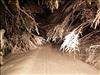 SWZ_Winter 2006 025